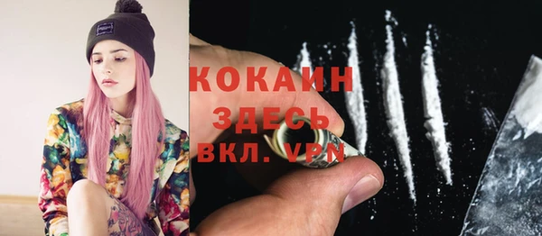индика Абинск