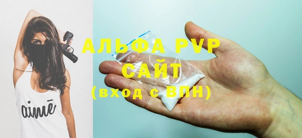 индика Абинск