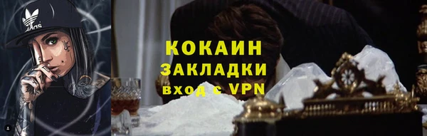 индика Абинск