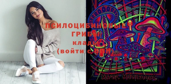 индика Абинск