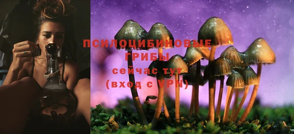 дмт Абаза