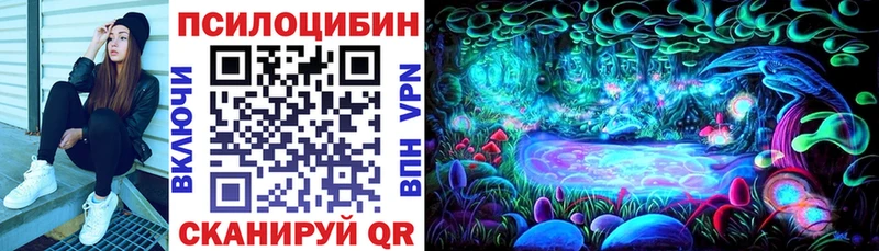 Псилоцибиновые грибы Psilocybe Рыльск